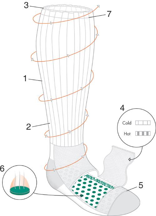 Eleotin Pedo-Protection Socks (皮盾保護襪)